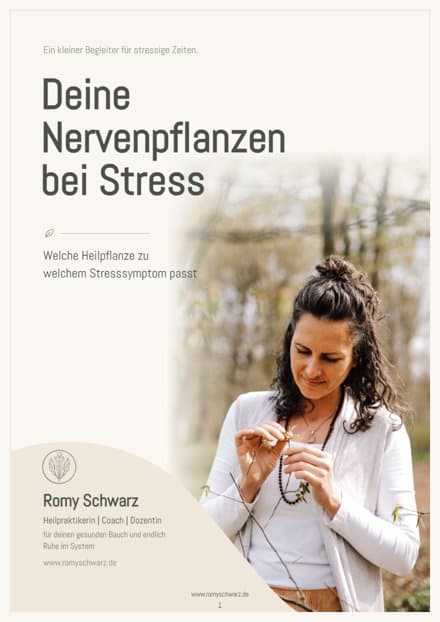 Titelseite des PDFs Deine Nervenpflanzen bei Stress